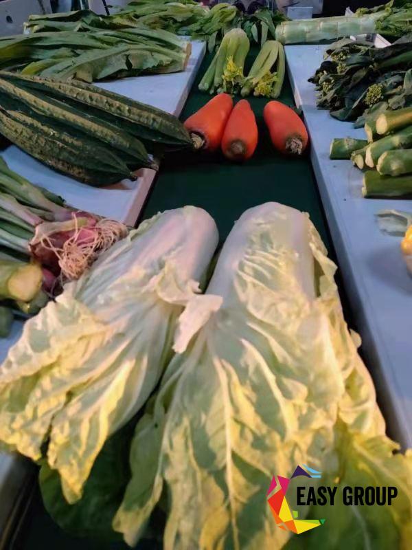 fresh-vegetable-Flow-packaging-machine-2